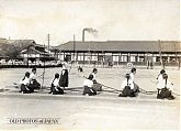 Japanese School Girls Doing Archery