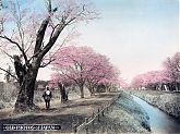 Tokyo 1890s • Koganei