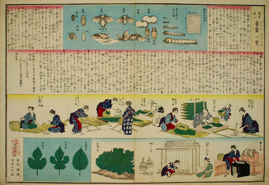 Japanese educational materials for elementary school students about sericulture, 1872–1876