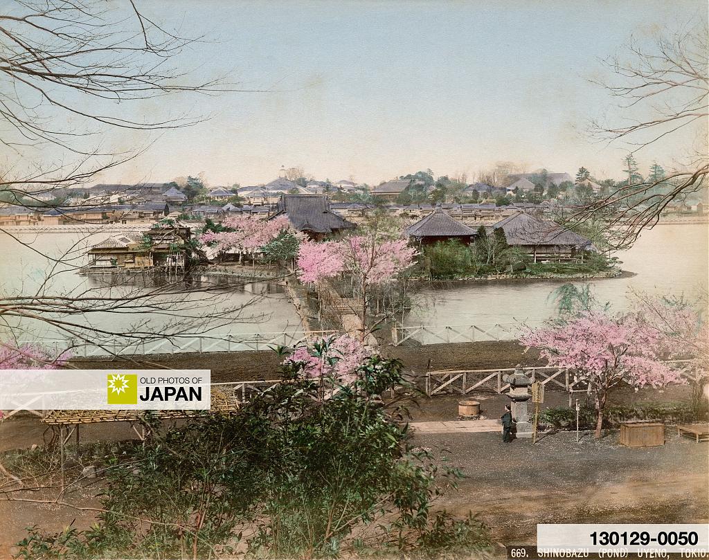 Bentenjima Island in Shinobazu Pond