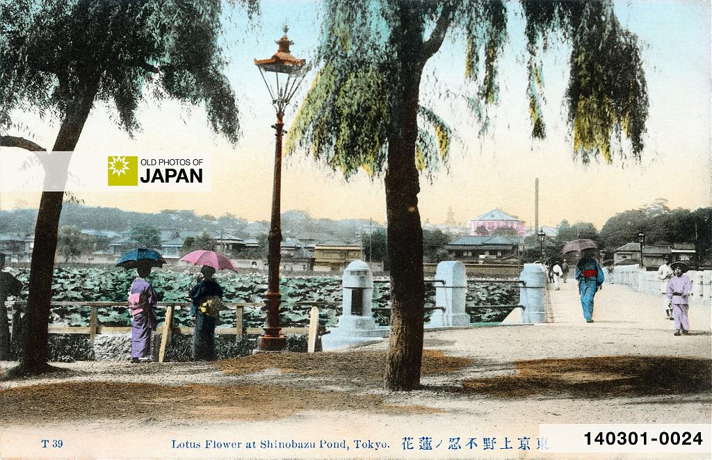 Women admire the lotus blossom of Shinobazu Pond in the early 1900s
