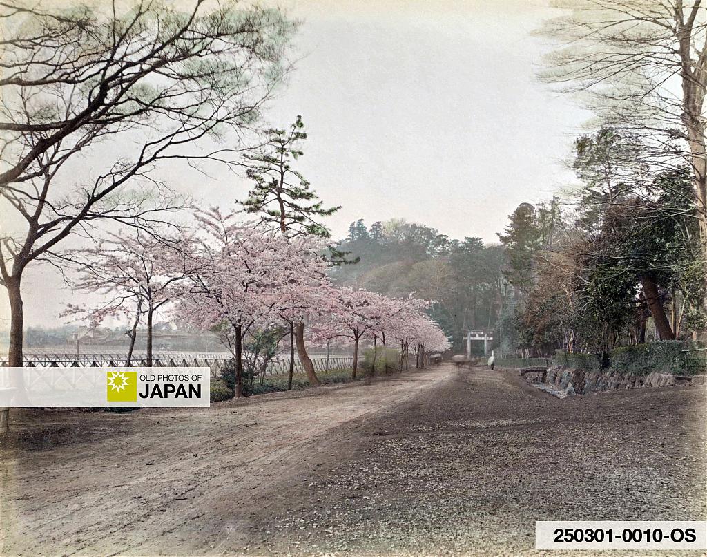 A road along Shinobazu Pond, ca. 1890s