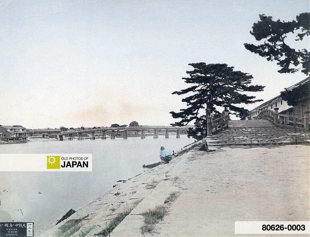 Tako no Matsu pine tree in Osaka, 1870s