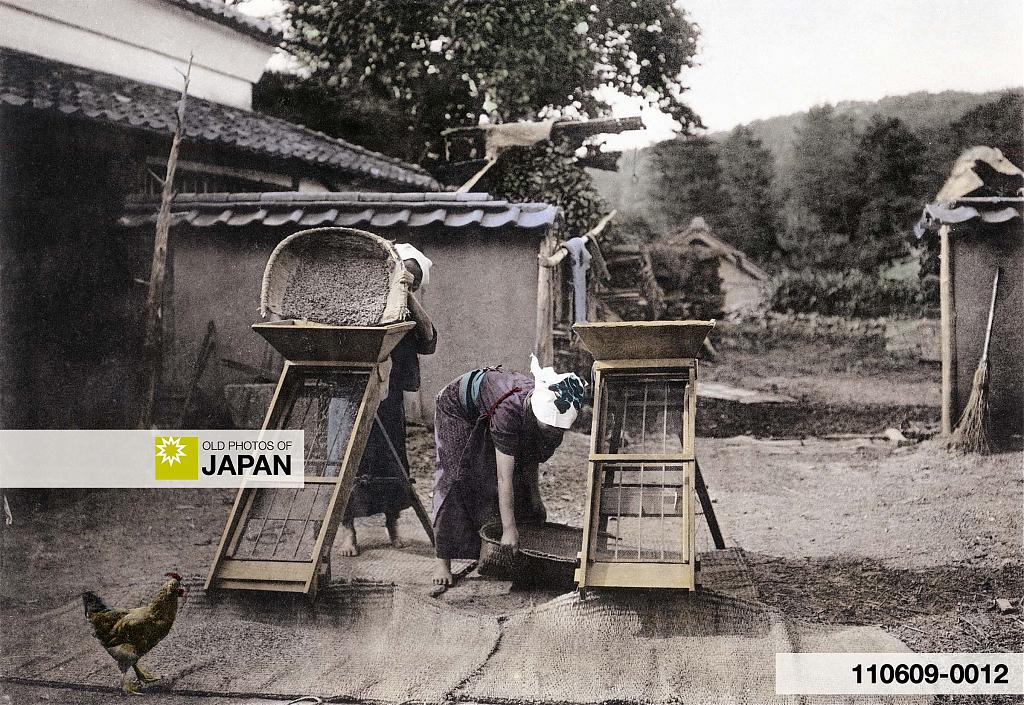 110609-0012 - Winnowing Rice in Japan, 1907