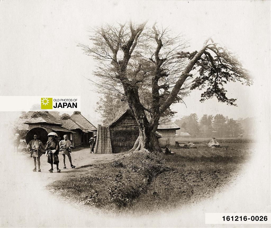 161216-0004 - Namamugi on the Tokaido, ca 1862