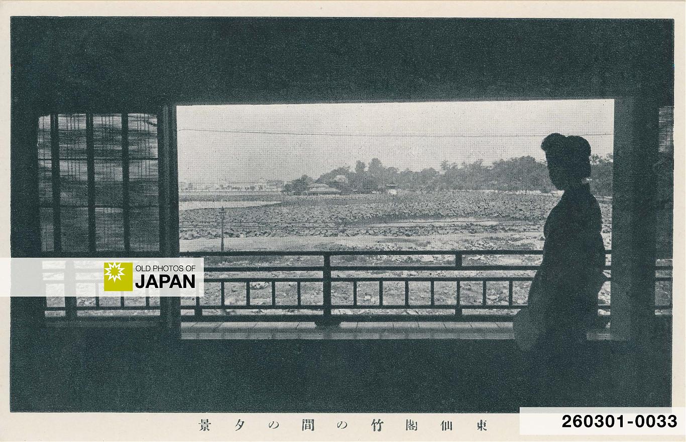 A woman looks out at Shinobazu Pond's lotus flowers from a restaurant in Tokyo's Ueno district, 1920s