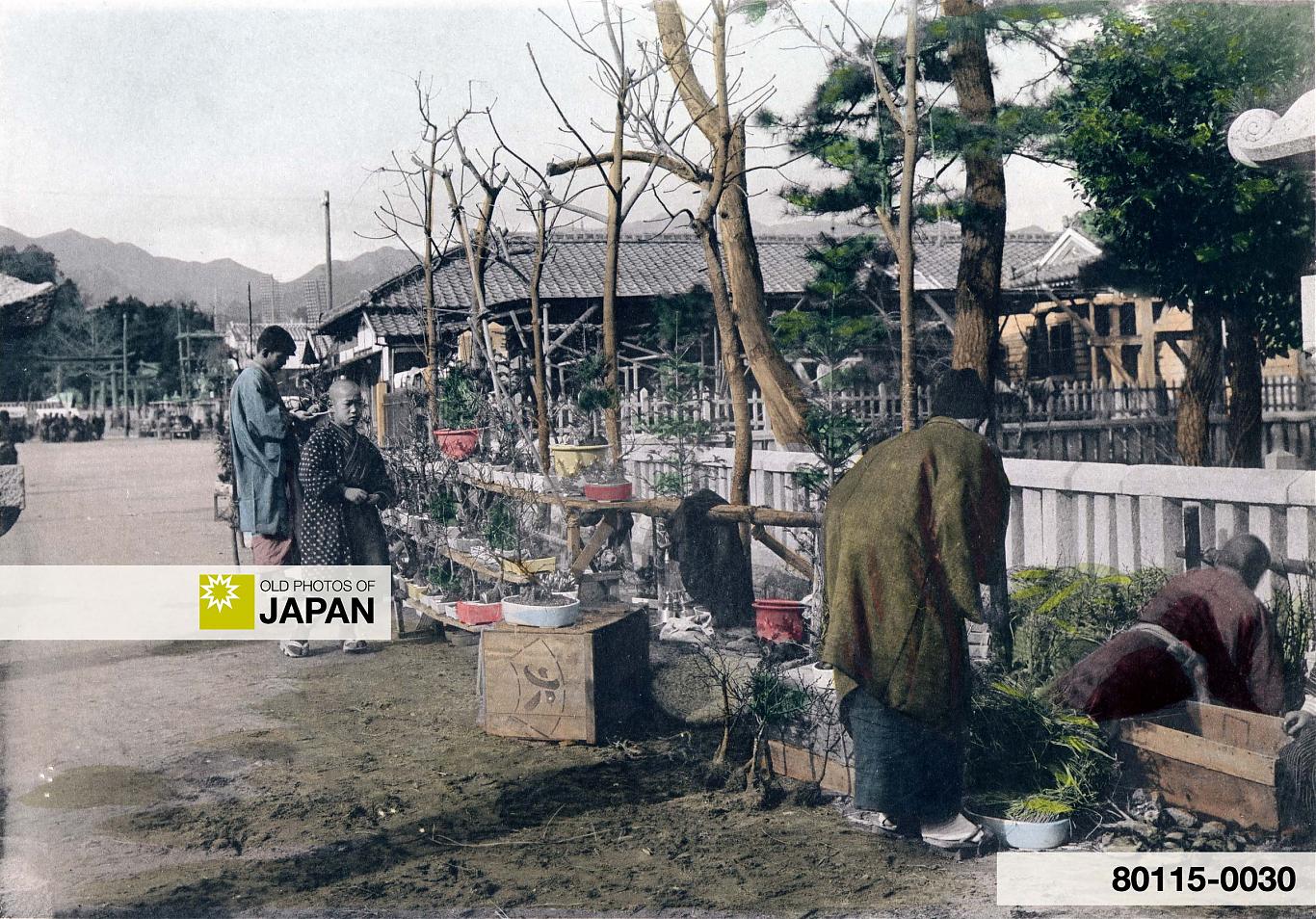 80115-0030 - Japanese New Year Celebrations