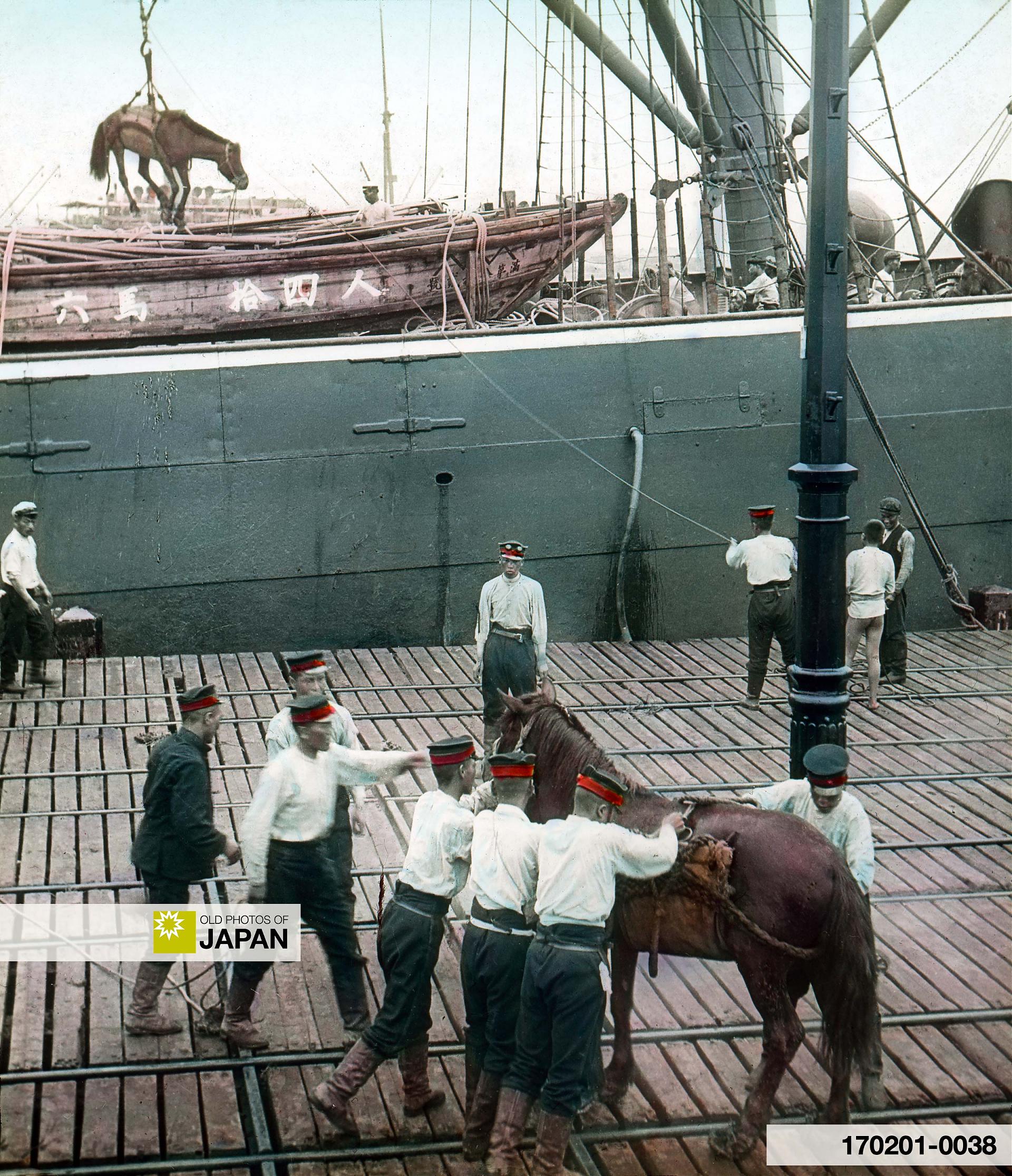 170201-0038 - Japanese horses loaded during Russo-Japanese War