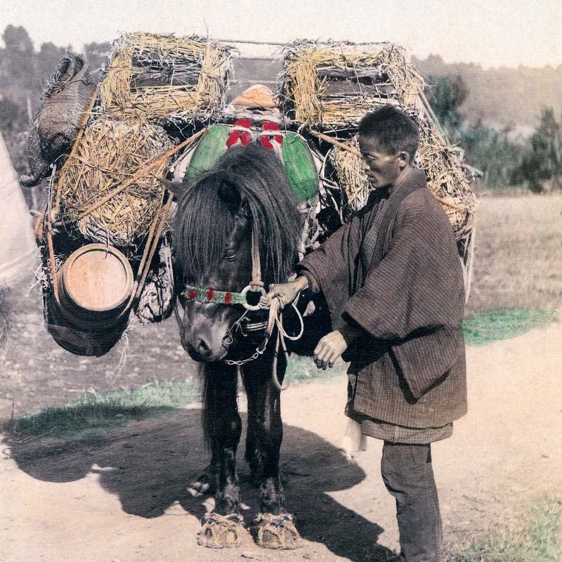 70601-0021 - Japanese Pack Horse Driver, 1890s