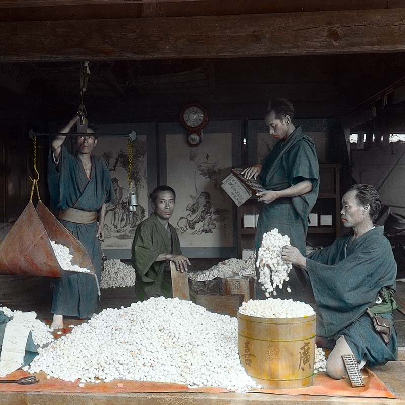 Glass slide by Nobukuni Enami of Japanese silk cocoon traders weighing cocoons, ca. 1900s