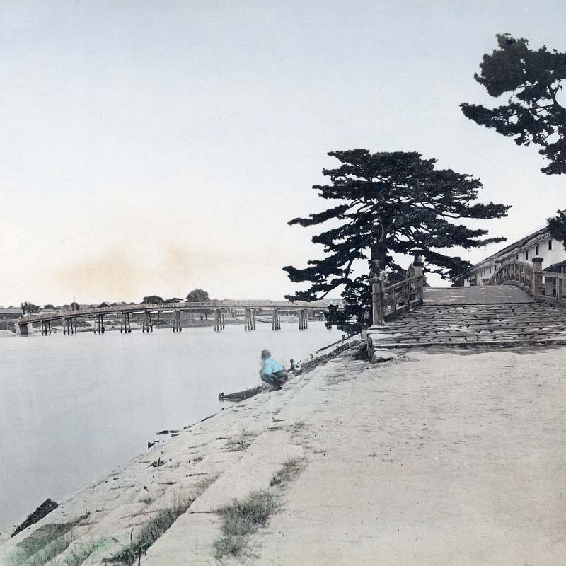 80626-0003 - Tako no Matsu pine tree in Osaka, 1870s